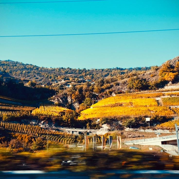 Entertainment zone at night in United Kingdom
